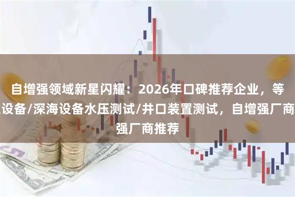 自增强领域新星闪耀:2026年口碑推荐企业,等静压设备/深海设备水压测试/井口装置测试,自增强厂商推荐